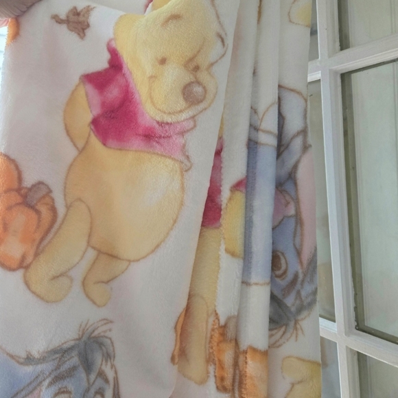 SOLD‼️Disney Winnie The Pooh Plush Fall Leaves Throw Blanket - Picture 2 of 9